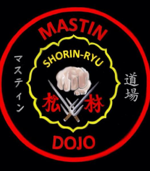 Mastin's School of Martial Arts