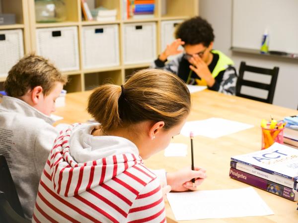 Principia Tutors + Consultants