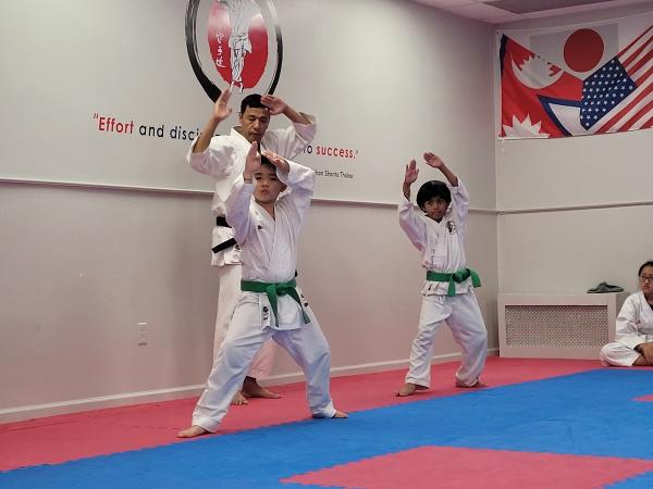 IMA Nihon Karate Do USA