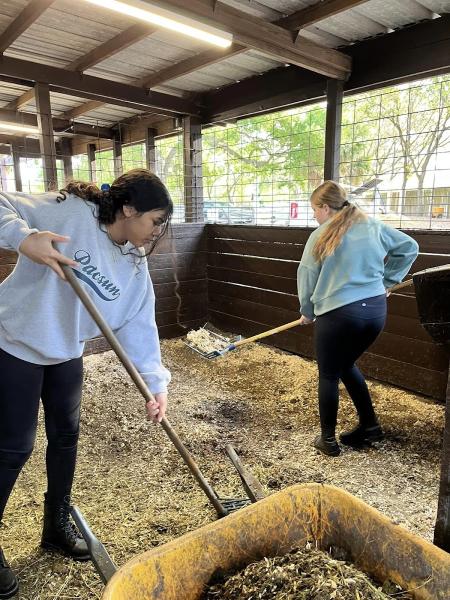 SBT Horsemanship