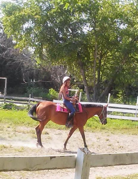 Star Stables Indiana