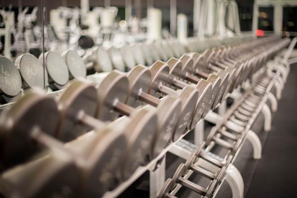Fitness Experience