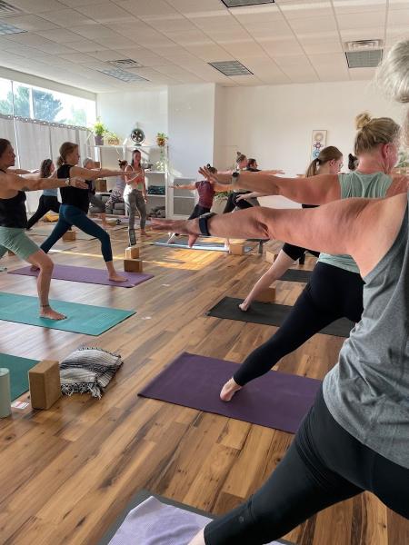 Palm + Pine Yoga Studio and School