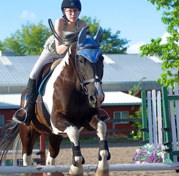 Shadow Creek Stables