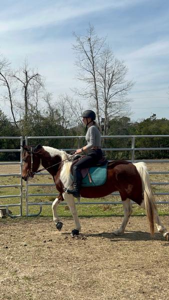 AC Horsemanship