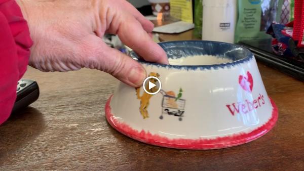 Paint Your Own Pottery