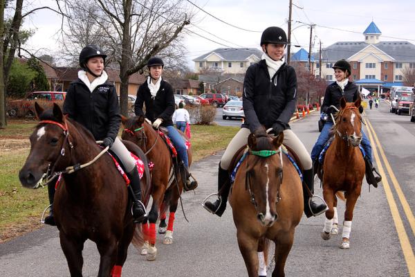 Simmons Sport Horses