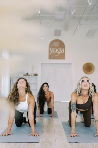The Yoga Loft Studio