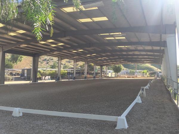 Regal Equestrian