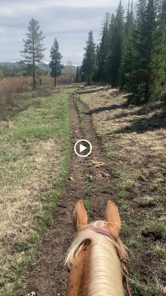 Rocky Mountain Stables Horseback Riding and Sleigh Rides