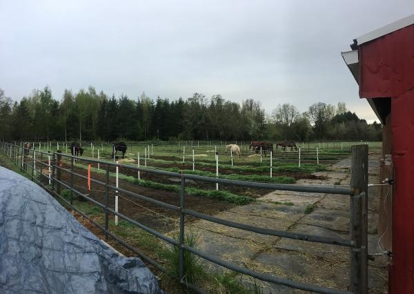 Shenandoah Valley Farm and Ranch