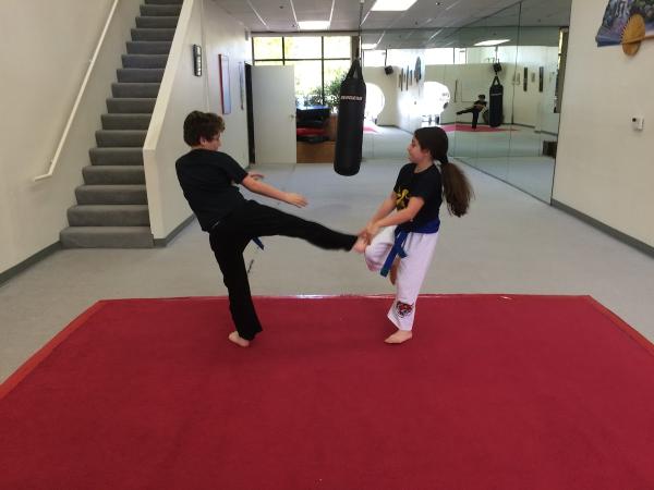 Fred Villari's Studios of Self Defense Karate Kung fu Jiu Jitsu