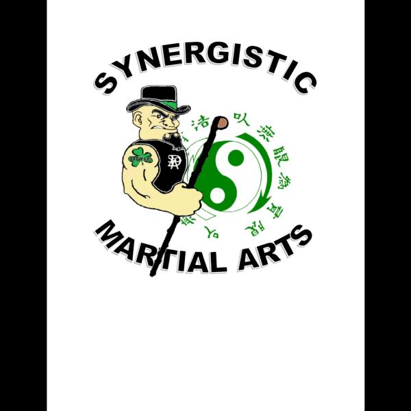 Synergistic Martial Arts and Fitness