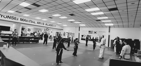 Yonsei Martial Arts Academy
