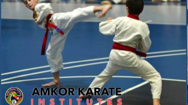 Amkor Karate Institutes