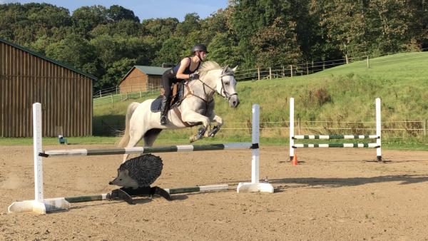 Holly Hill Stables LLC