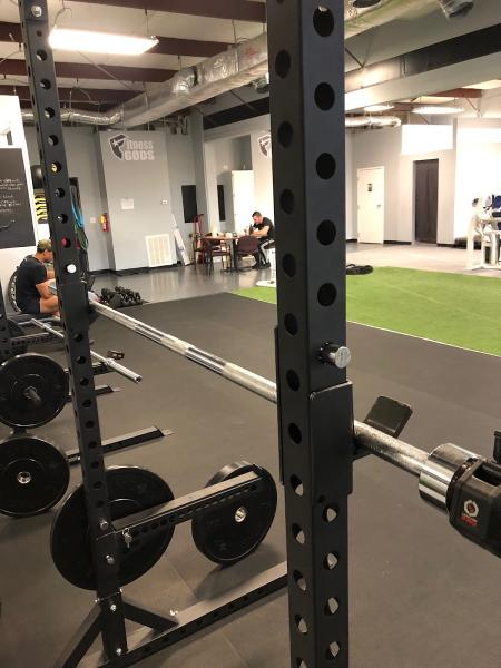 Evolution Fitness & Results