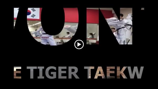 Won's White Tiger Taekwondo