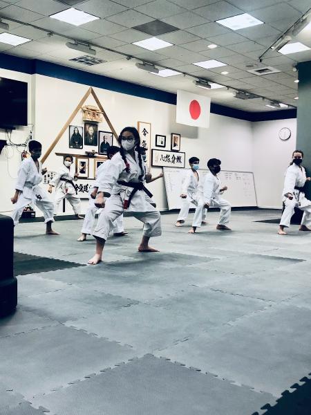 Goju Ryu Karatedo Seiwa Kai USA