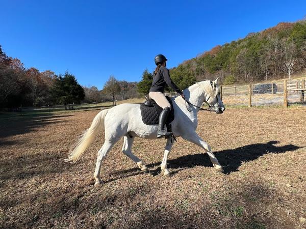 Misthaven Riding School