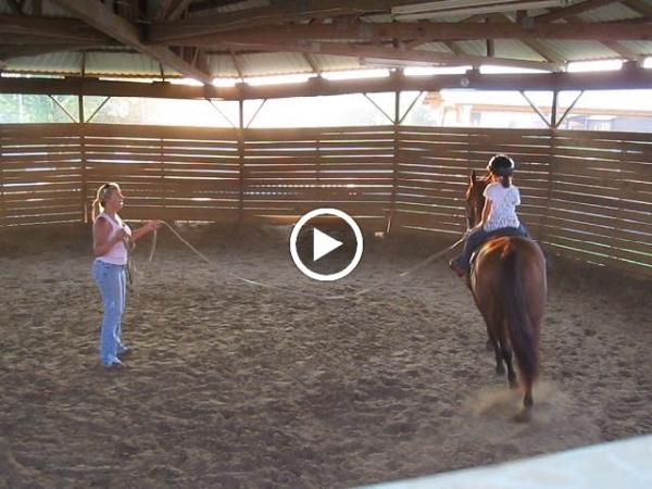 North Dallas Equestrian