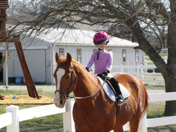 North Dallas Equestrian