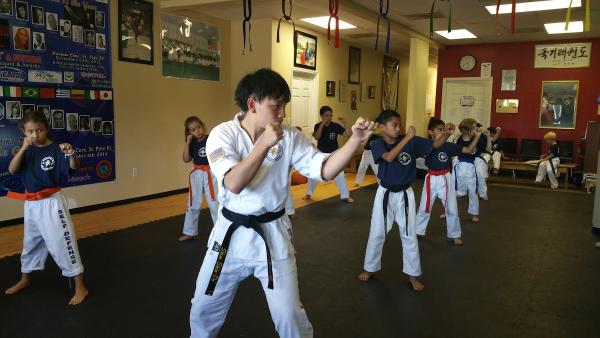 Ellenton Martial Arts & Self Defense Classes: Shim Shin Do