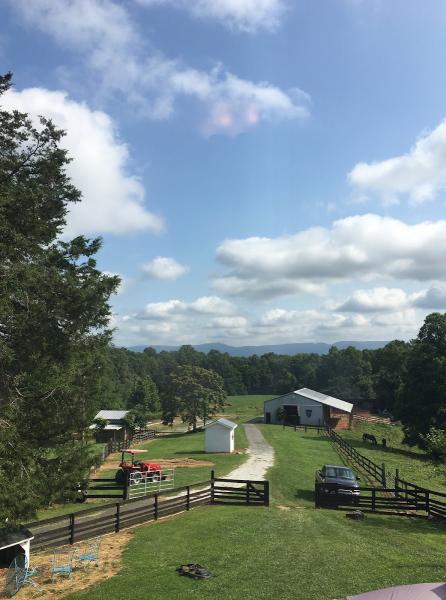 Mt Airy Horse Stables