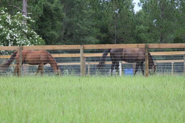 Divine Harmony Farm