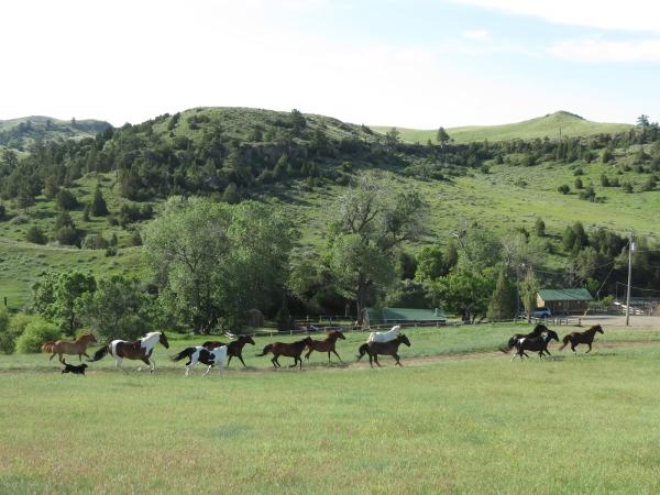 Bitter Creek Outfitters