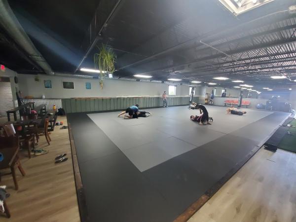 Dark Haven Studio