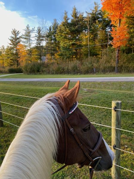 Cornerstone Horse Ranch