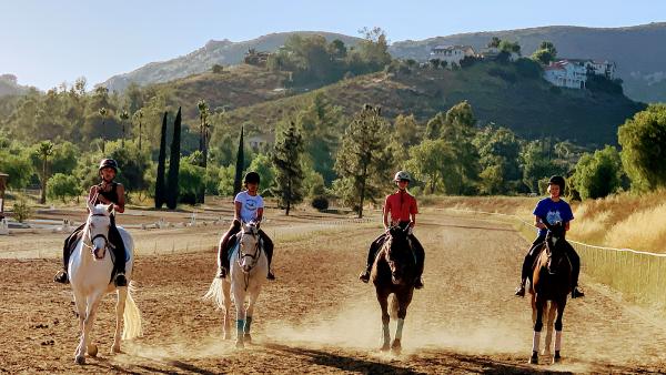 Letters & Lines Equestrian Riding and Training