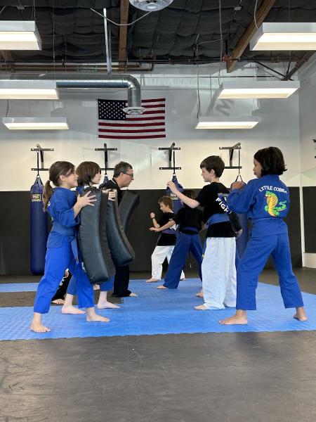 Limitless Karate: American Freestyle Karate