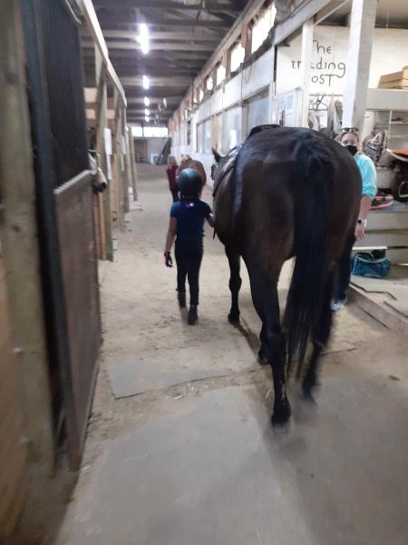 Windermere Equestrian Center