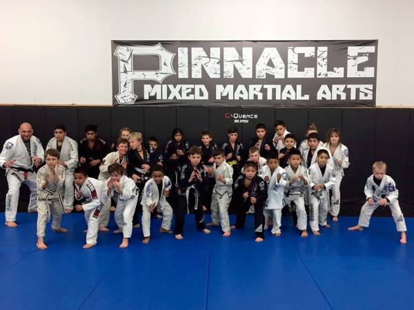 Pinnacle Mixed Martial Arts