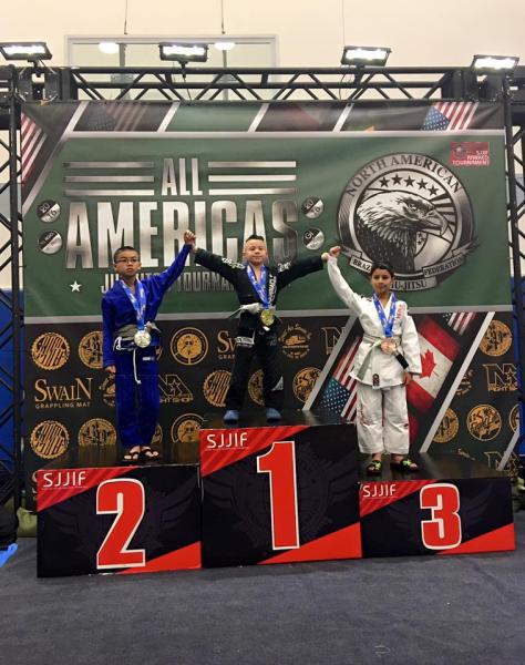 Pinnacle Mixed Martial Arts