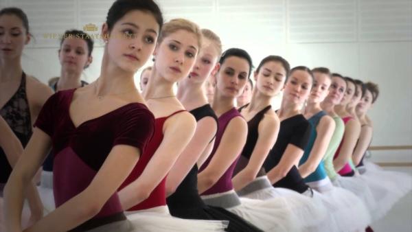 Vienna Dance Academy