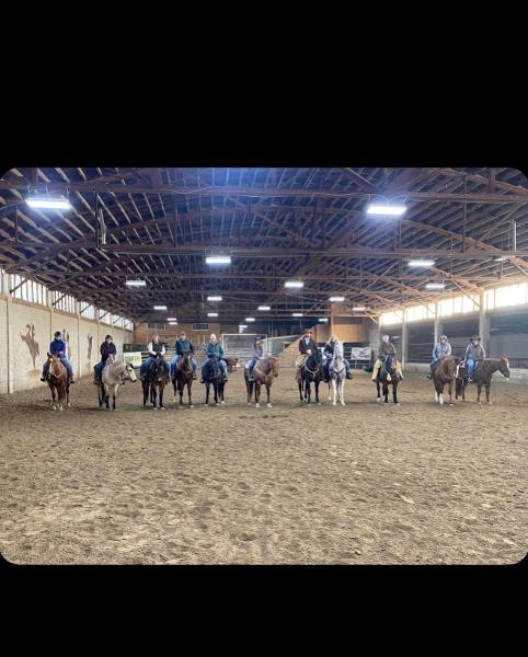 Shamus Haws Horsemanship