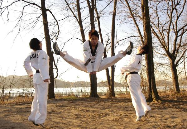 Tiger Koo's Martial Arts