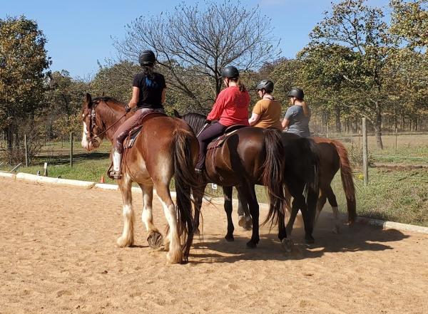 West Equestrian Ranch