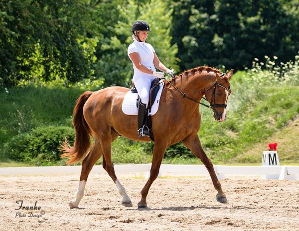 Courtney Mohler Dressage