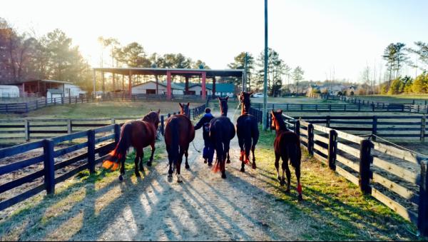 Owl Ridge Equestrian Center