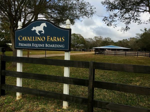 Cavallino Farms