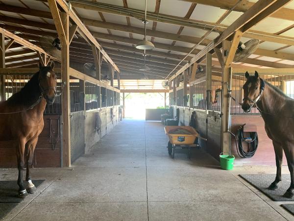 Cavallino Farms
