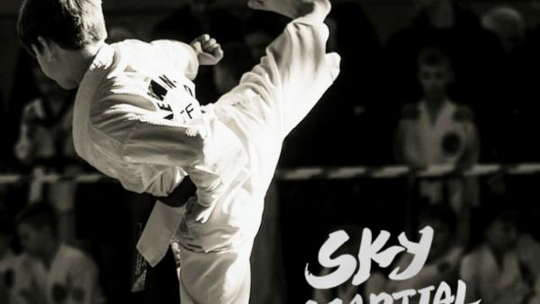 Sky Martial Arts L.A.