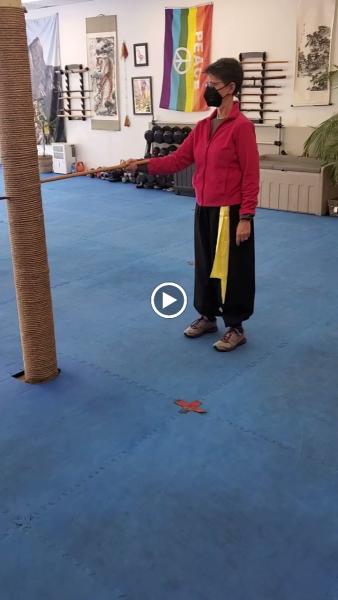 Metrowest Kung Fu