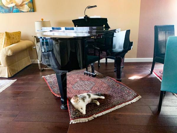 Calico Piano Academy