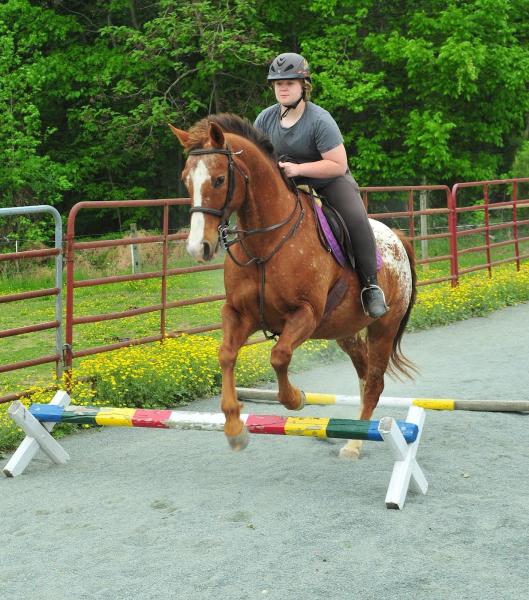 Equestrian Program at Chestnut Ridge