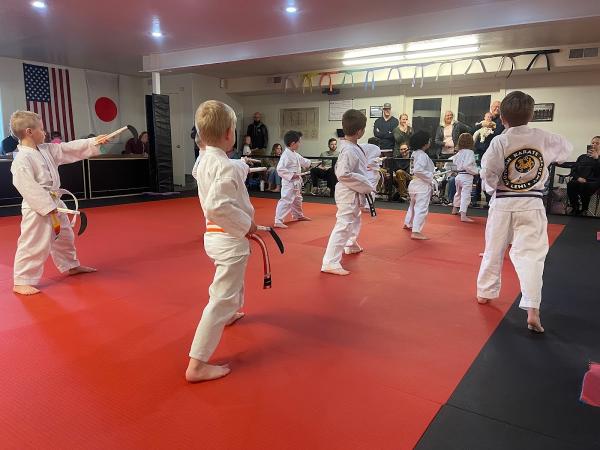 Shotokan Karate Academy Lehi